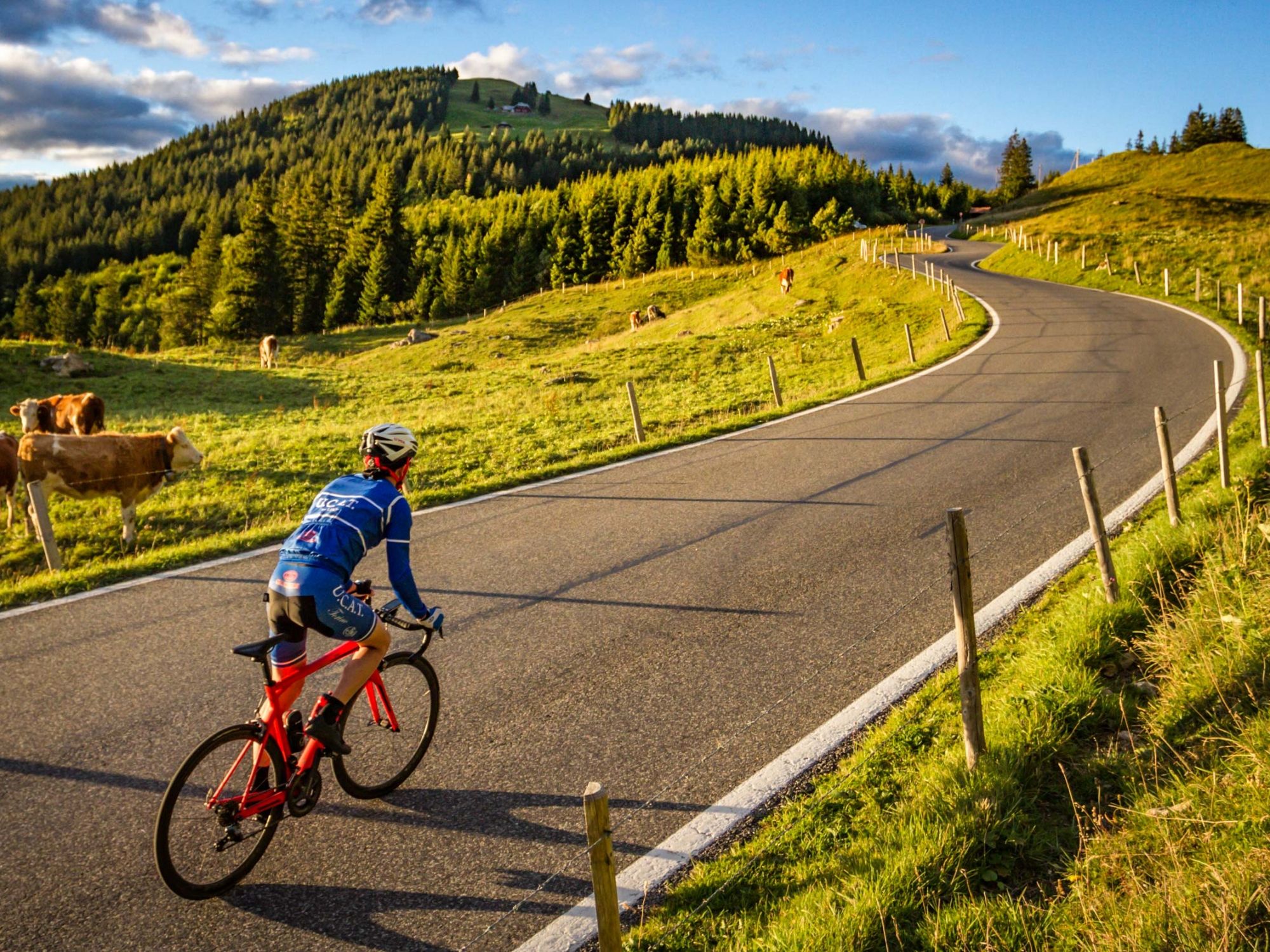 간트리히 지역의 구르니겔에서 자전거 타기, 푸른 초원과 언덕