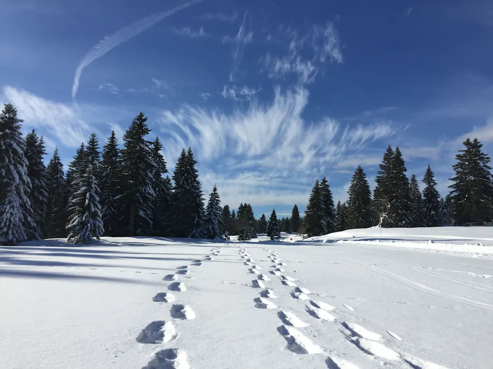 Schneeschuhwandern Schweiz