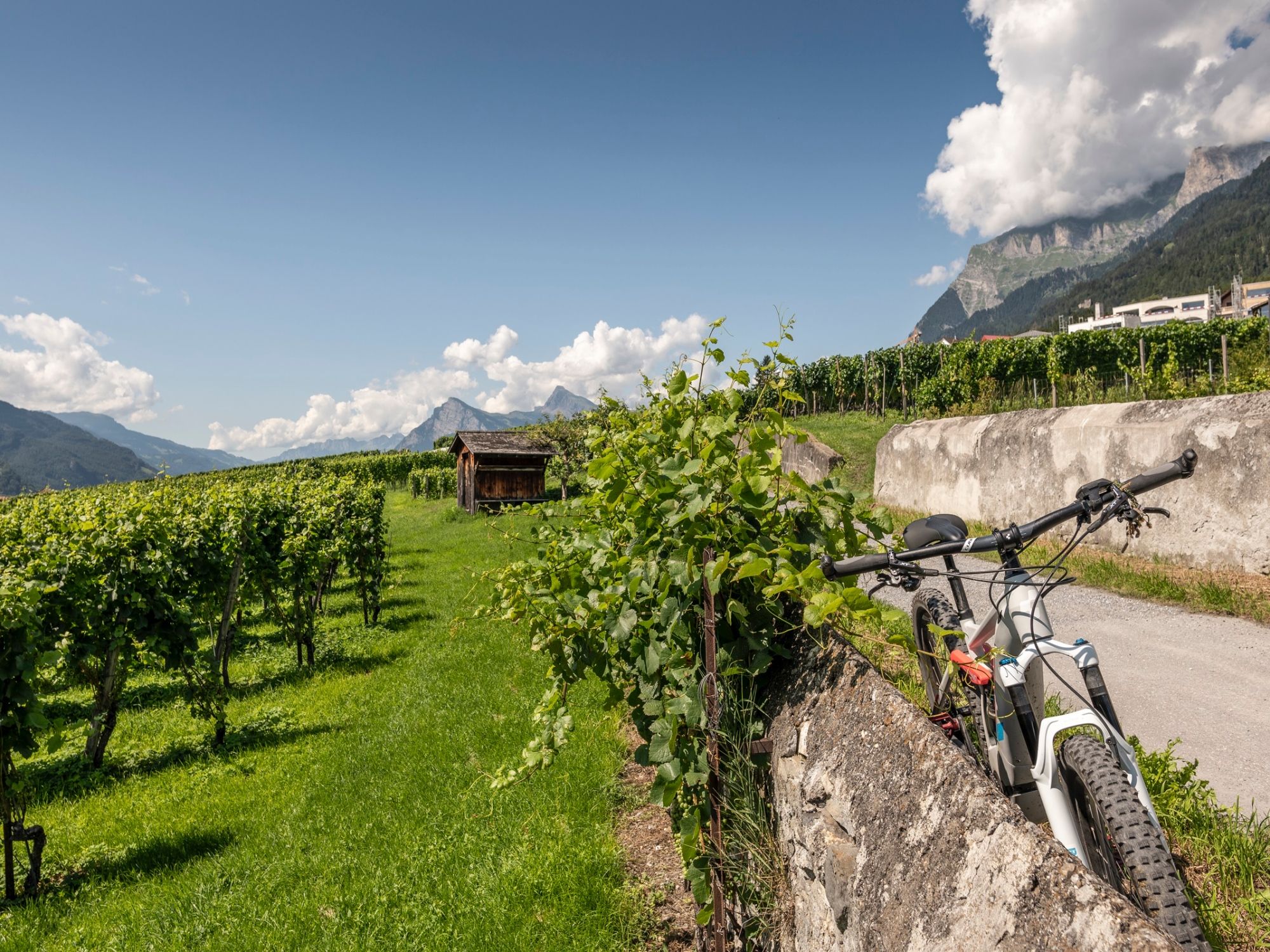 Геолокация GPS для поиска сокровищ на электровелосипеде с видом на виноградники и горы в полном разгаре