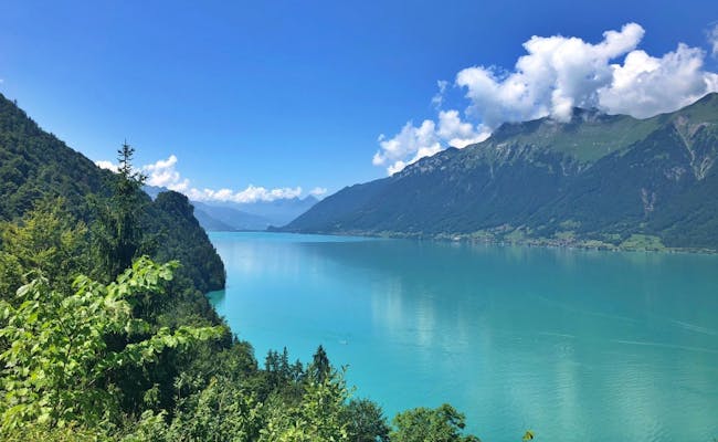 Brienzersee Panorama ile turkuaz renkli su, çevredeki dağlar ve yeşil kıyı