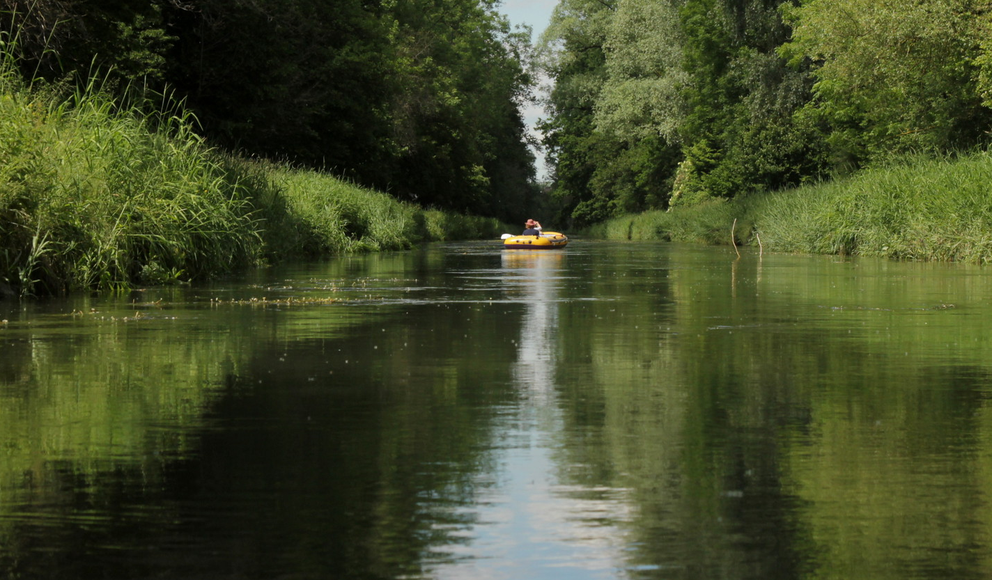 शांत नदी में पैडलिंग के दौरान ग्लैट बोटिंग गाइड