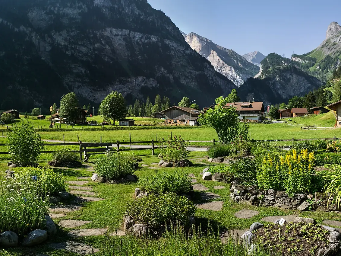リコラガーデン、背景にはハーブと山々