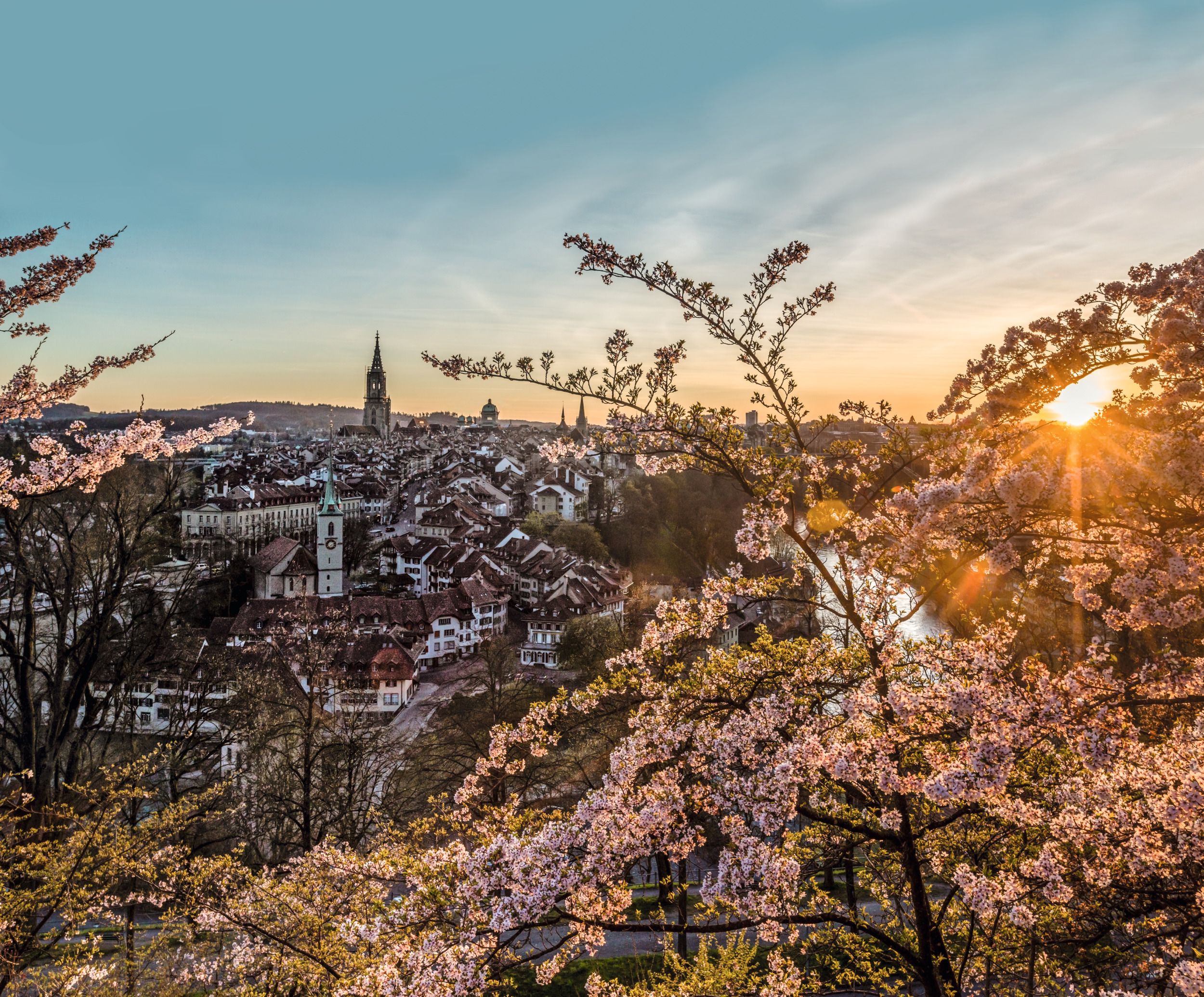 View Rosengarten Bern: panoramic view of the city, early summer, blooming trees, Aare, architecture.