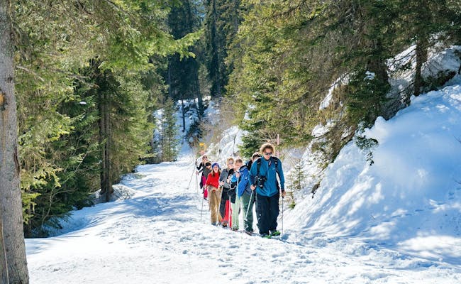 Snowshoe hiking in Interlaken in sunny weather, group hiking through a snowy forest.