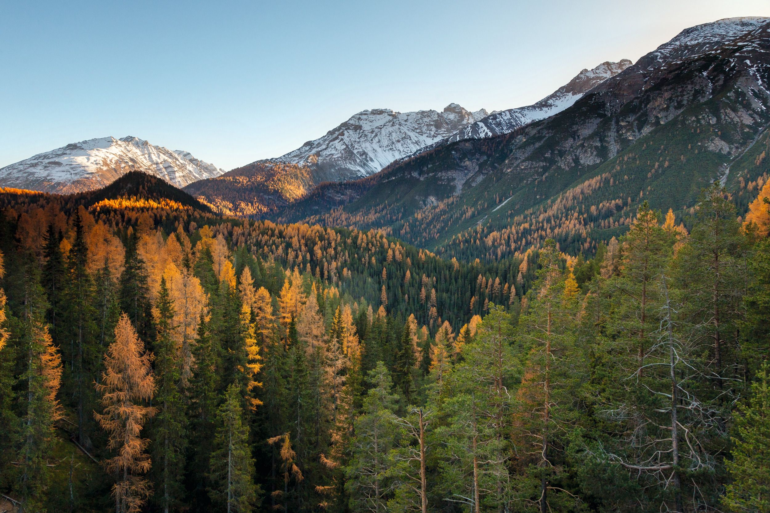 Scuol : magnifique paysage avec montagnes et forêt automnale colorée en Suisse