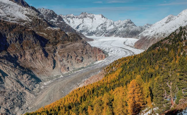 Riederalp Aletsch con glaciar y árboles otoñales