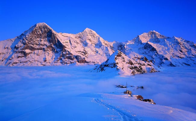 Excursion View of the Eiger (Photo: Best of Switzerland Tours AG)