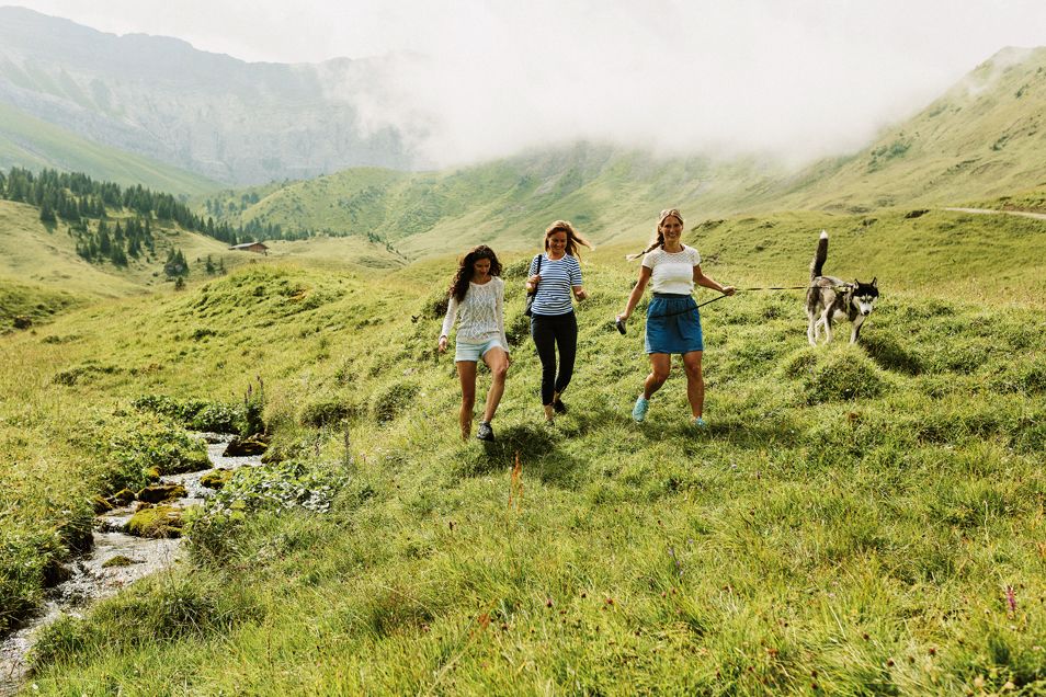 Sommervandring i Elsigen-Metsch med venner og hund. Græsarealer, bjerge, rislende vand.