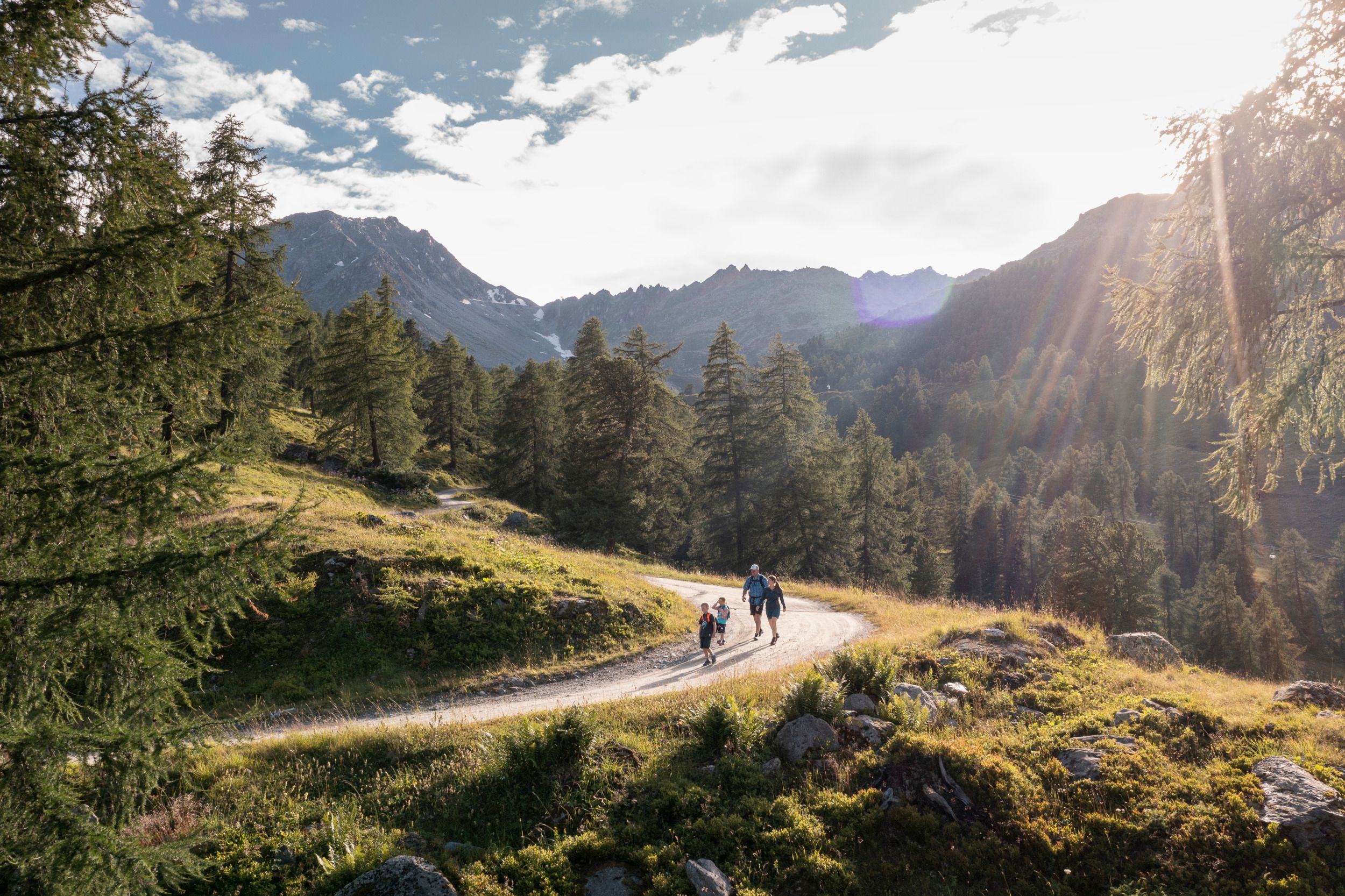 Turistika v národním parku s výhledem na hory a stromy v létě.
