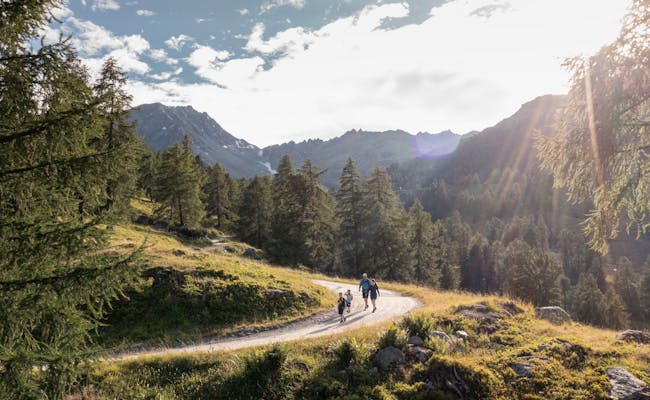 Senderismo en el parque nacional con vistas a montañas y árboles en verano.