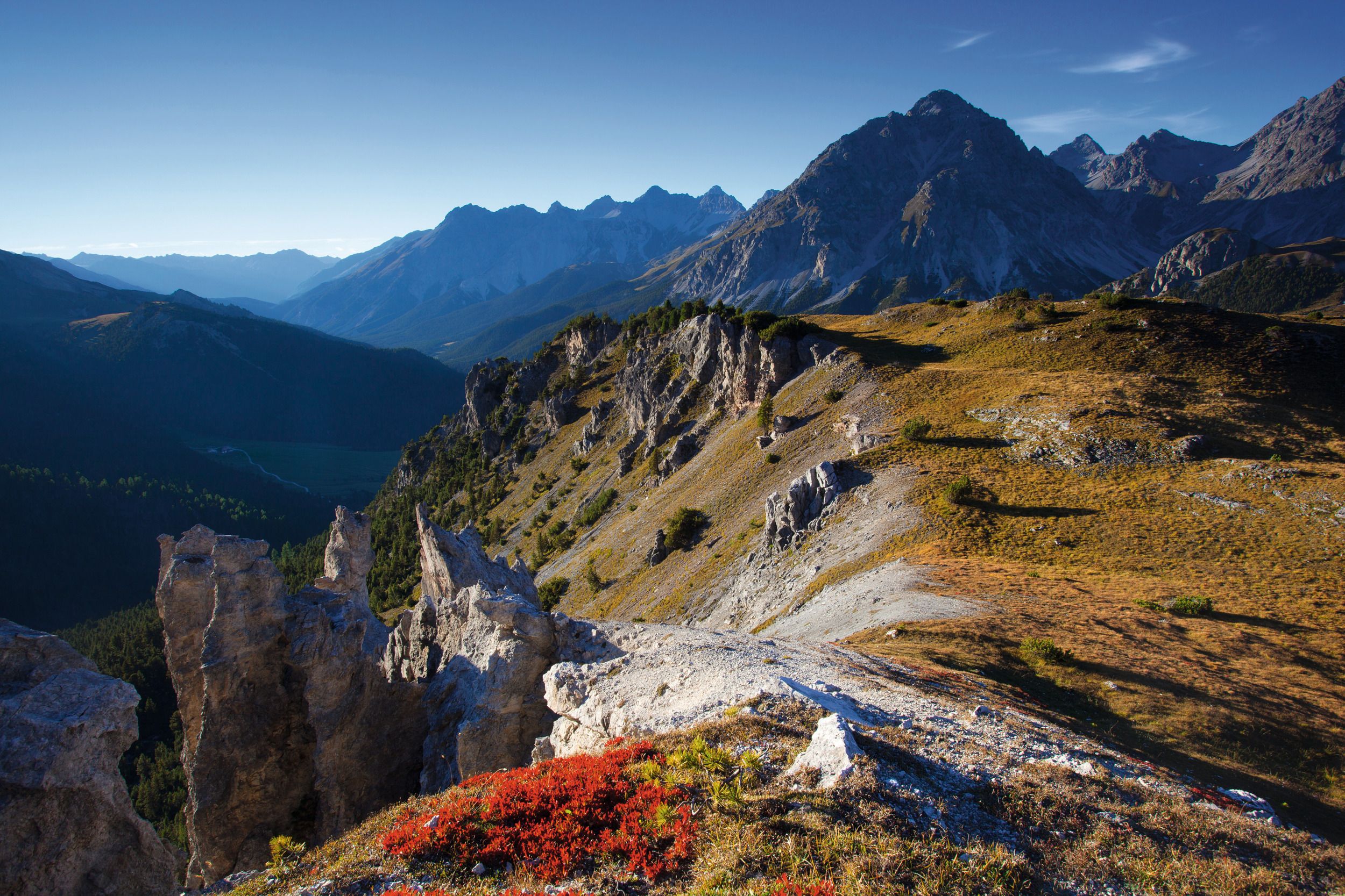 Národní park: horská krajina s skalami, rostlinami a horami.