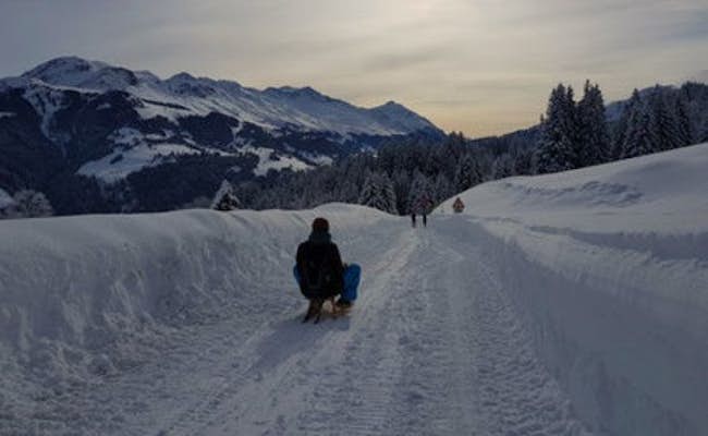 Night sledding (Photo: Chur Tourism)