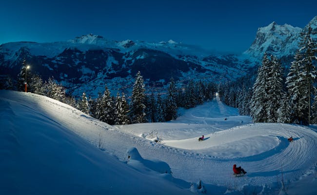Eiger Run Nachtschlittenfahrt in Grindelwald, schneebedeckte Landschaft, winterliche Atmosphäre.