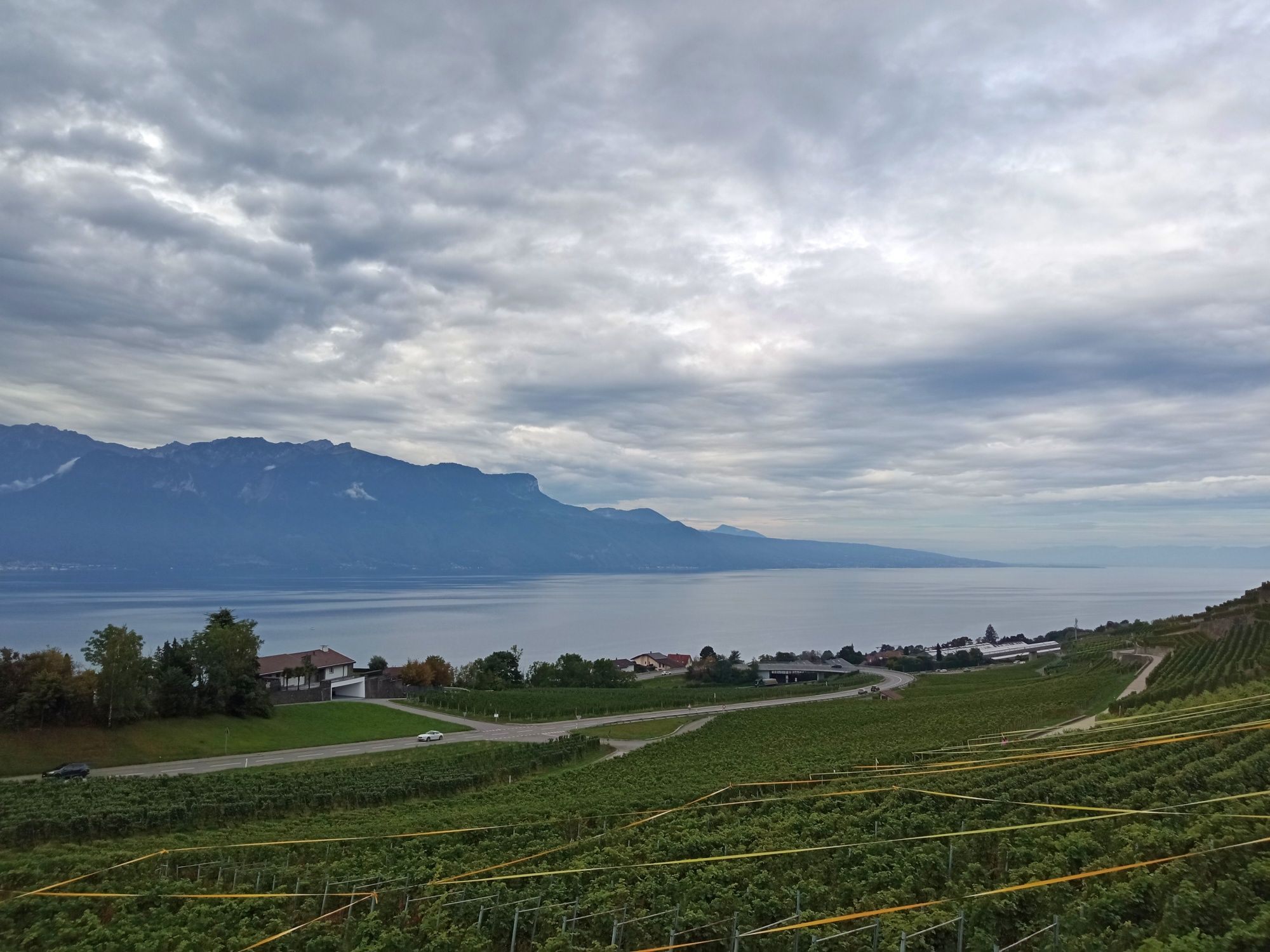 Ξενάγηση στους οινοπαραγωγικούς λόφους του Λαβώ και στη λίμνη Γενεύης με μια ειναιακή θέα.