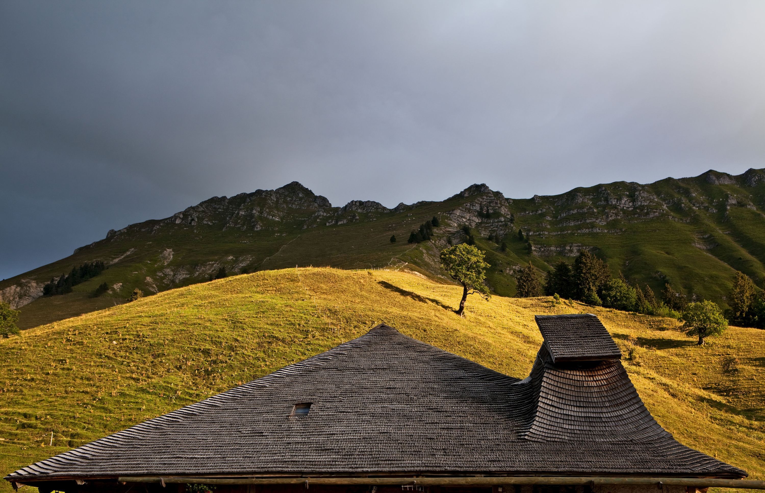 그뤼에르 자연공원과 푸른 언덕 및 산악 풍경