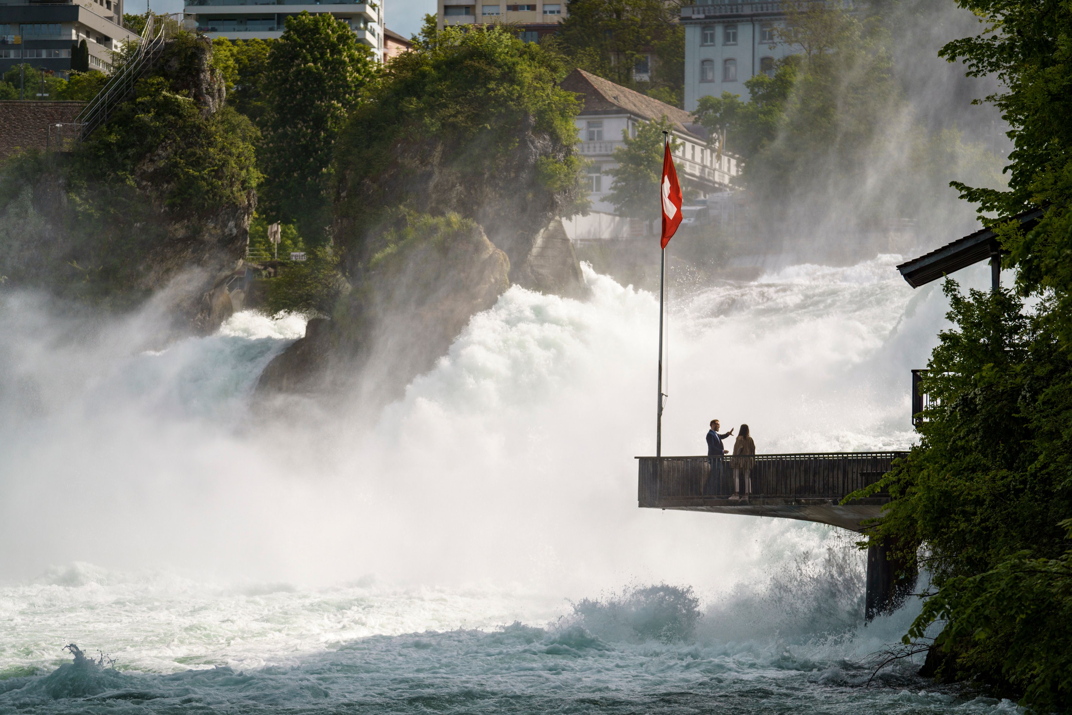 Rhine Falls: Experience the majestic waterfall in Switzerland, surrounded by nature and green shores.