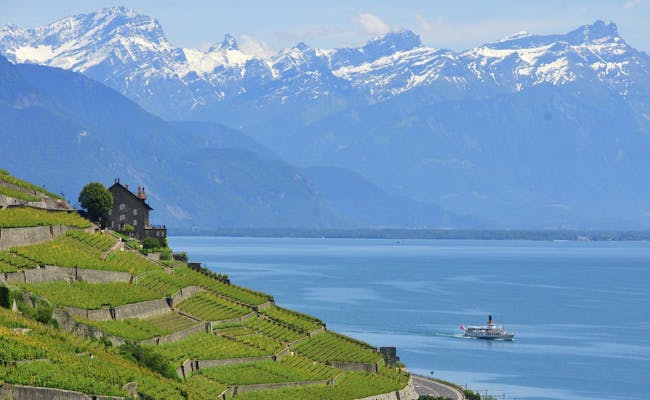 Navigazione sul Lago di Ginevra con vista sulle Alpi, vigne