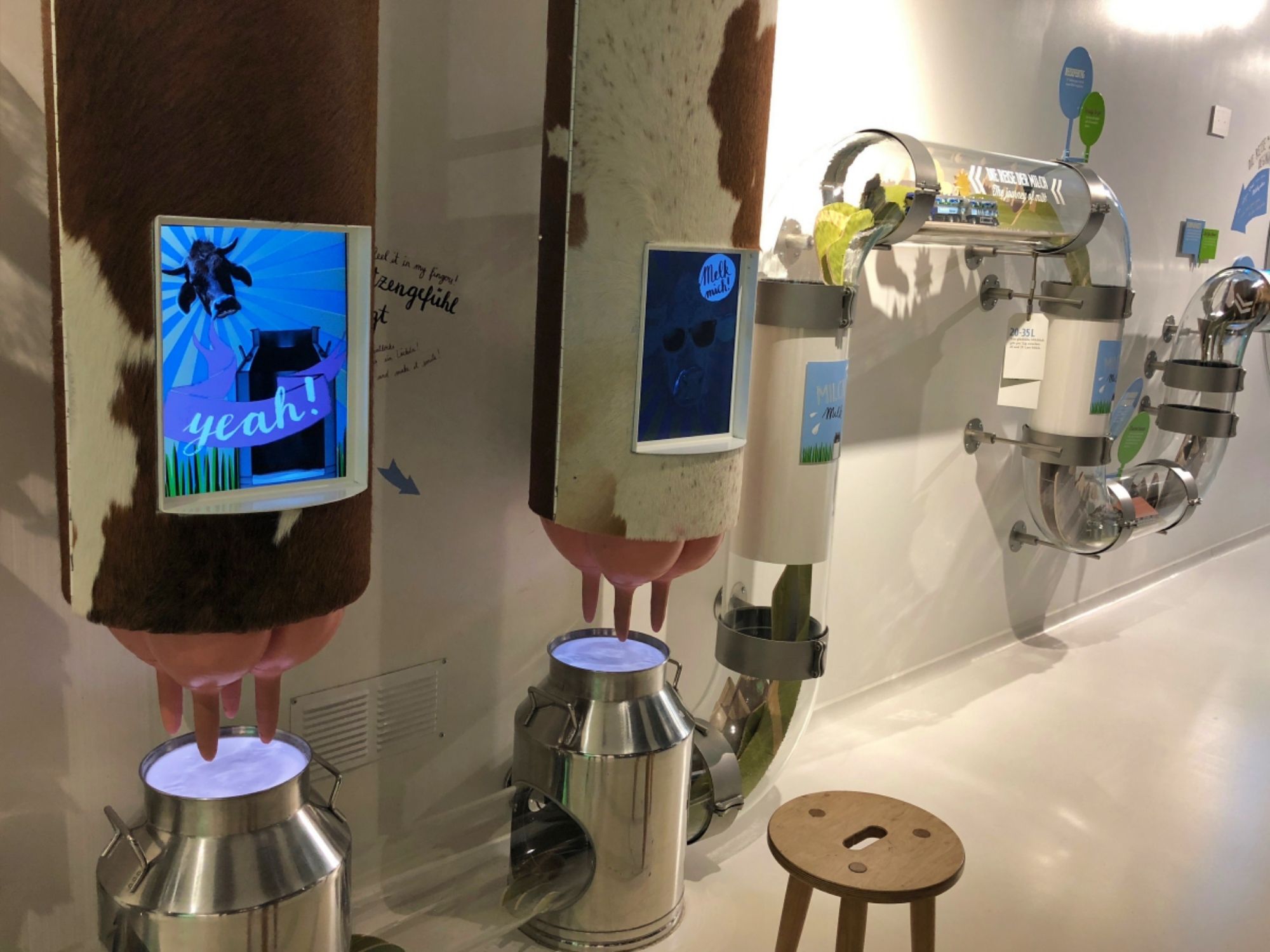 Chocolarium: Erlebe die Schokoladenfabrik mit interaktiven Stationen für Kinder und Gruppen.