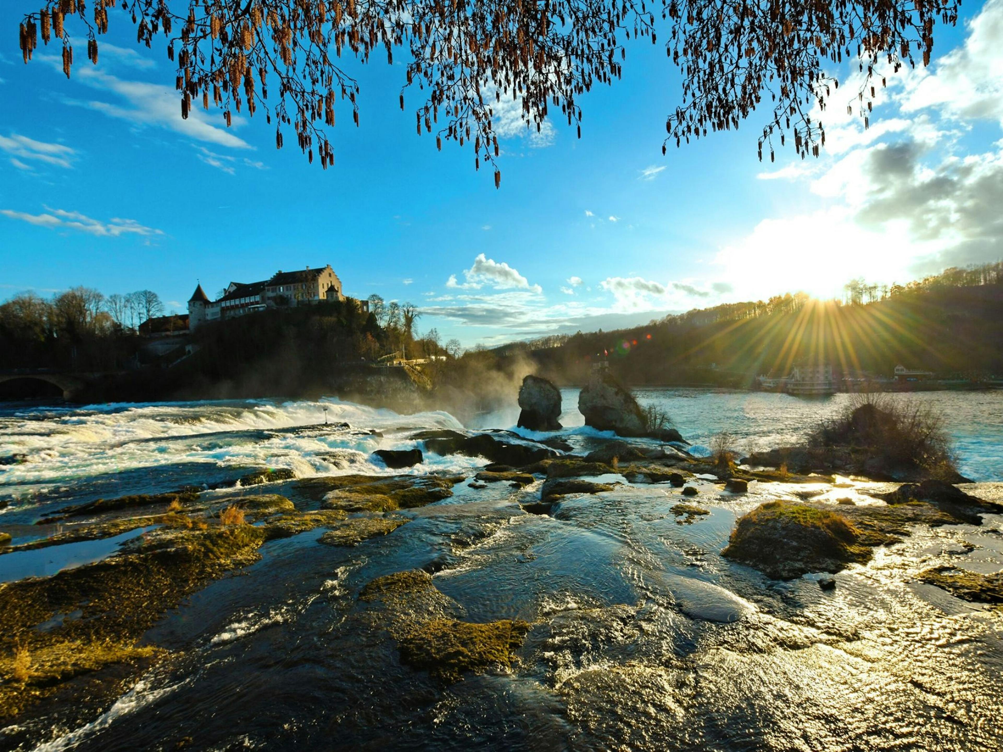 Rheinfall: beeindruckendes Wasserfälle-Erlebnis in der Natur bei einem Tagesausflug mit Keytours.