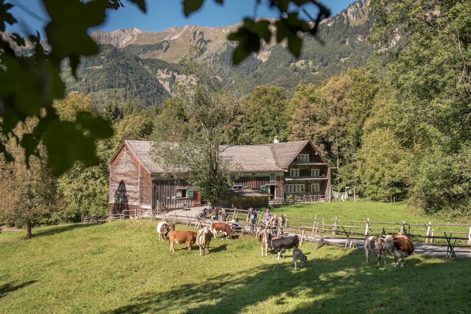 Kindergeburtstag Ballenberg