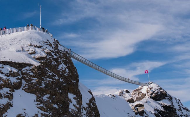 "Peak Walk" Hängebrücke zwischen zwei Gipfeln (Foto: Pixabay)