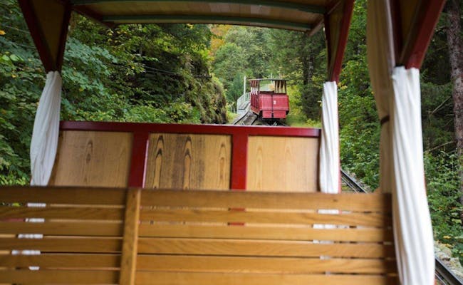 Train vers les chutes de Reichenbach (photo : MySwitzerland)