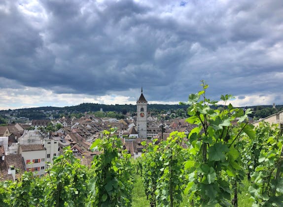 Schaffhausen: Visión de la ciudad con viñedos y torre histórica, experimentar la diversidad culinaria.