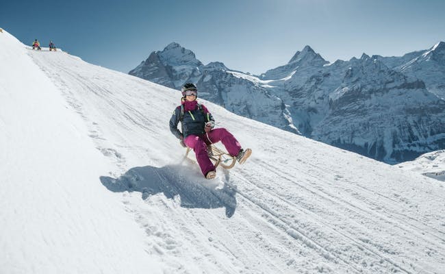 Zjazd na sankach w regionie Jungfrau z ośnieżonymi szczytami