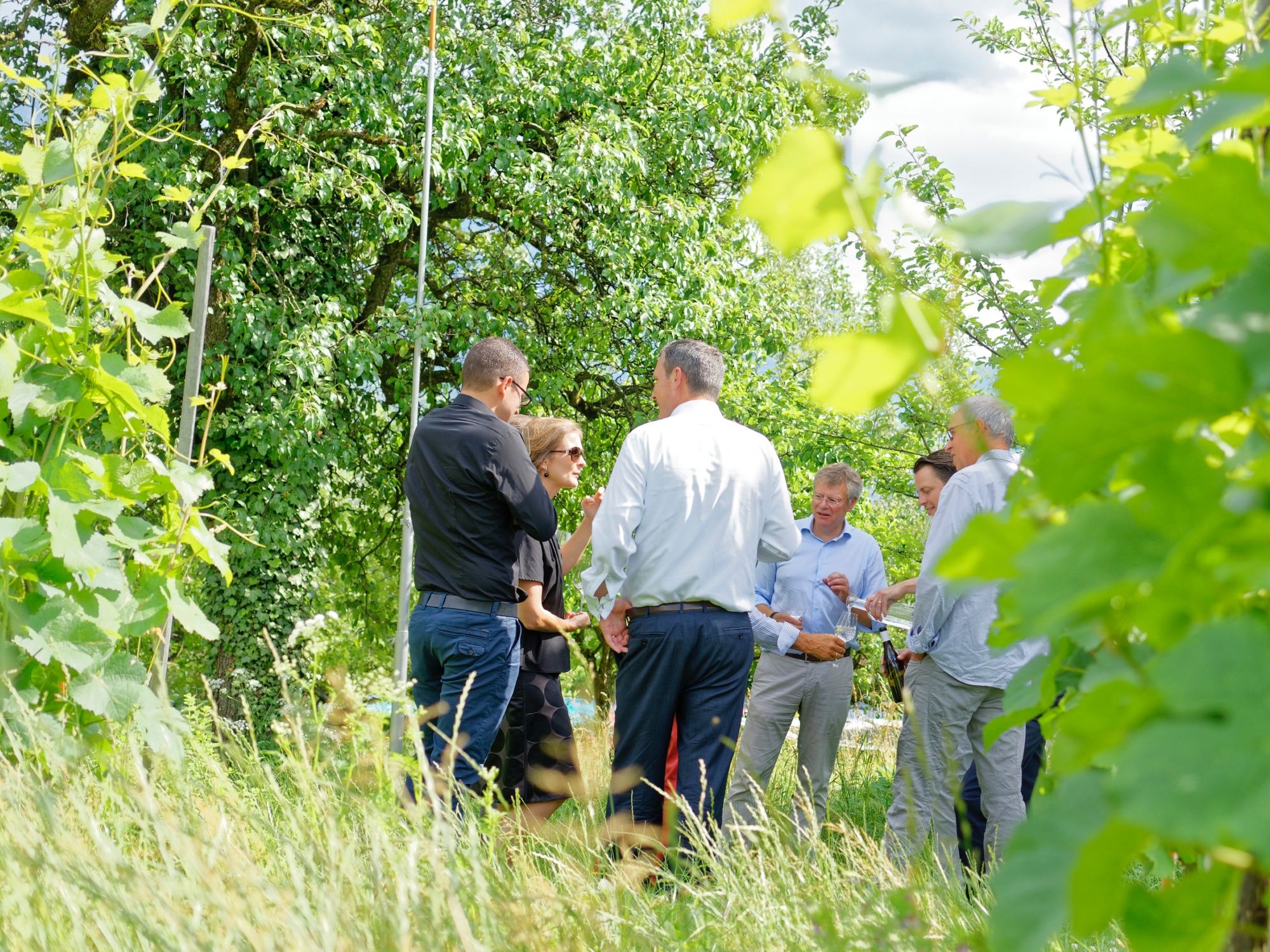 Wijnreis: Beleef wijnproeverij en geniet van de prachtige natuur in de Graubündner Herrschaft.