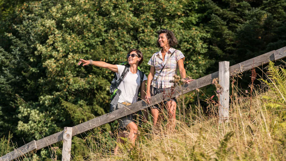 Rigi Wandern