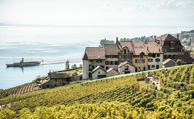 Viñedos de Lavaux: pintoresco paisaje vinícola a orillas del Lago de Ginebra, ideal para amantes del vino y amantes de la naturaleza.