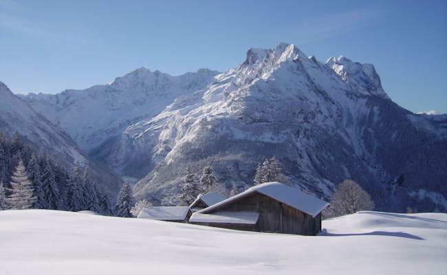Landschaft (Foto: Jungfrau Region Haslital Tourismus)