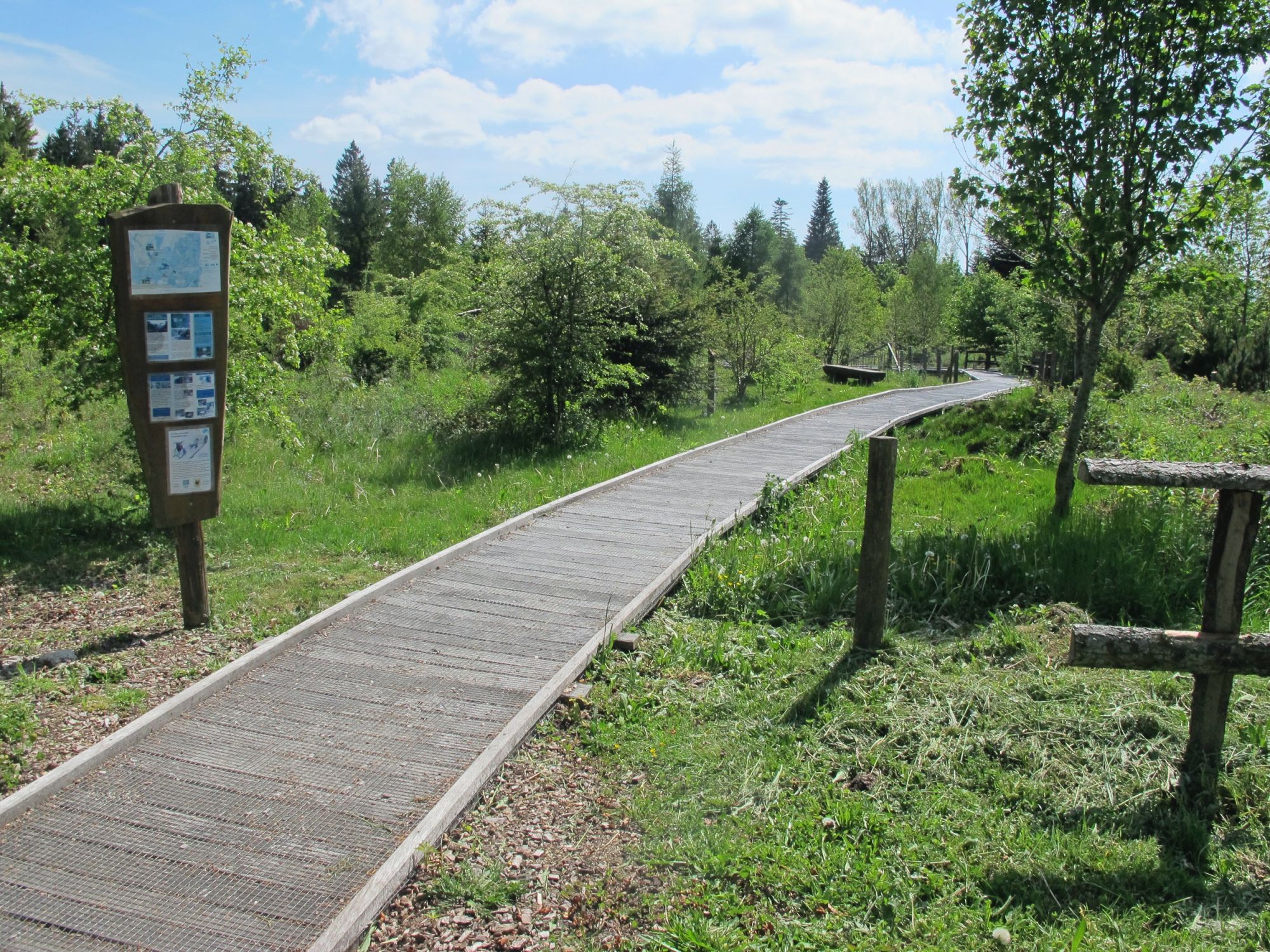 나무로 둘러싸인 해설판이 있는 요라 자연공원의 트레일