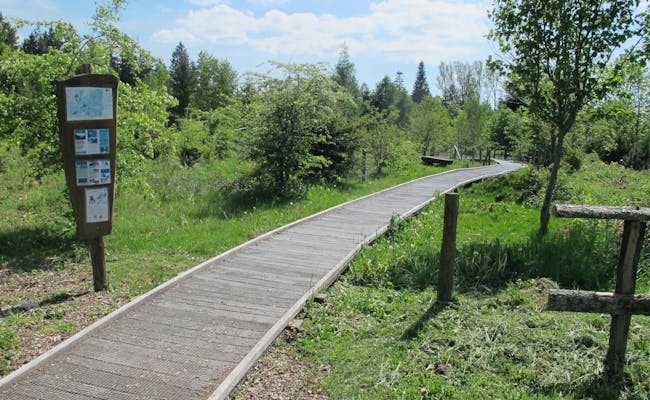 Sentiero nel Parco Naturale Jorat con pannelli informativi circondato da alberi