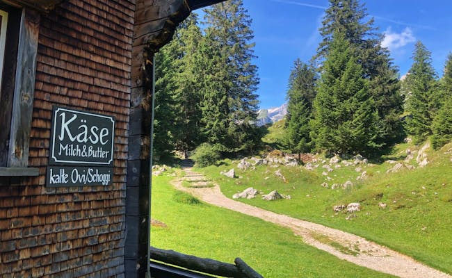 Brânză de munte din cabana de la cabana de pe munte cu peisaj idilic montan în Alpstein, trasee de drumeție și natură.