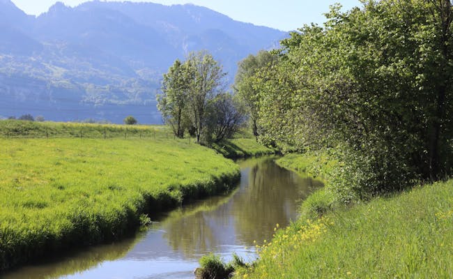 Rhine Valley Inland Canal