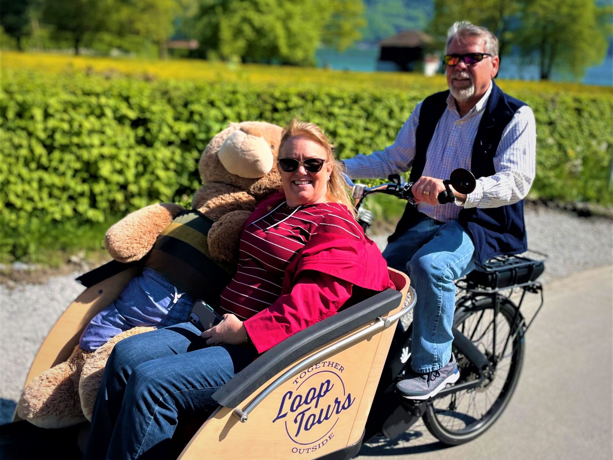 ルツェルンE-カーゴツアー：ルツェルン地域の自然を通る美しいドライブでリラックスしよう。