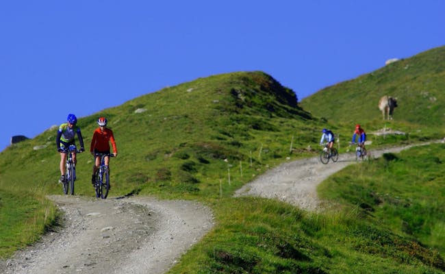 Mountain biking (Photo: Aletsch Arena)