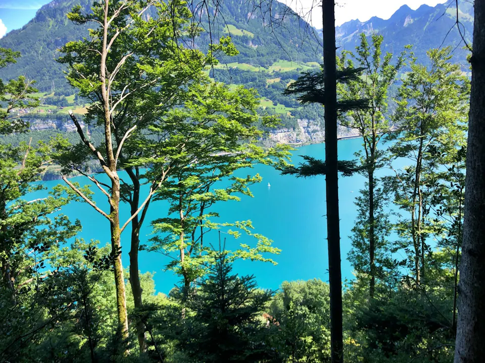 Vierwaldstättersee