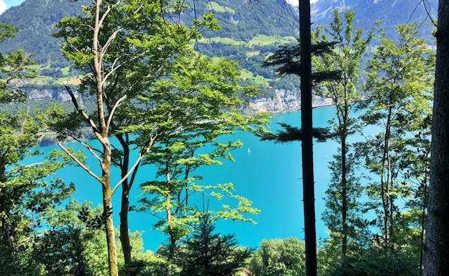 Lake Lucerne (Photo: Pia Zellweger)