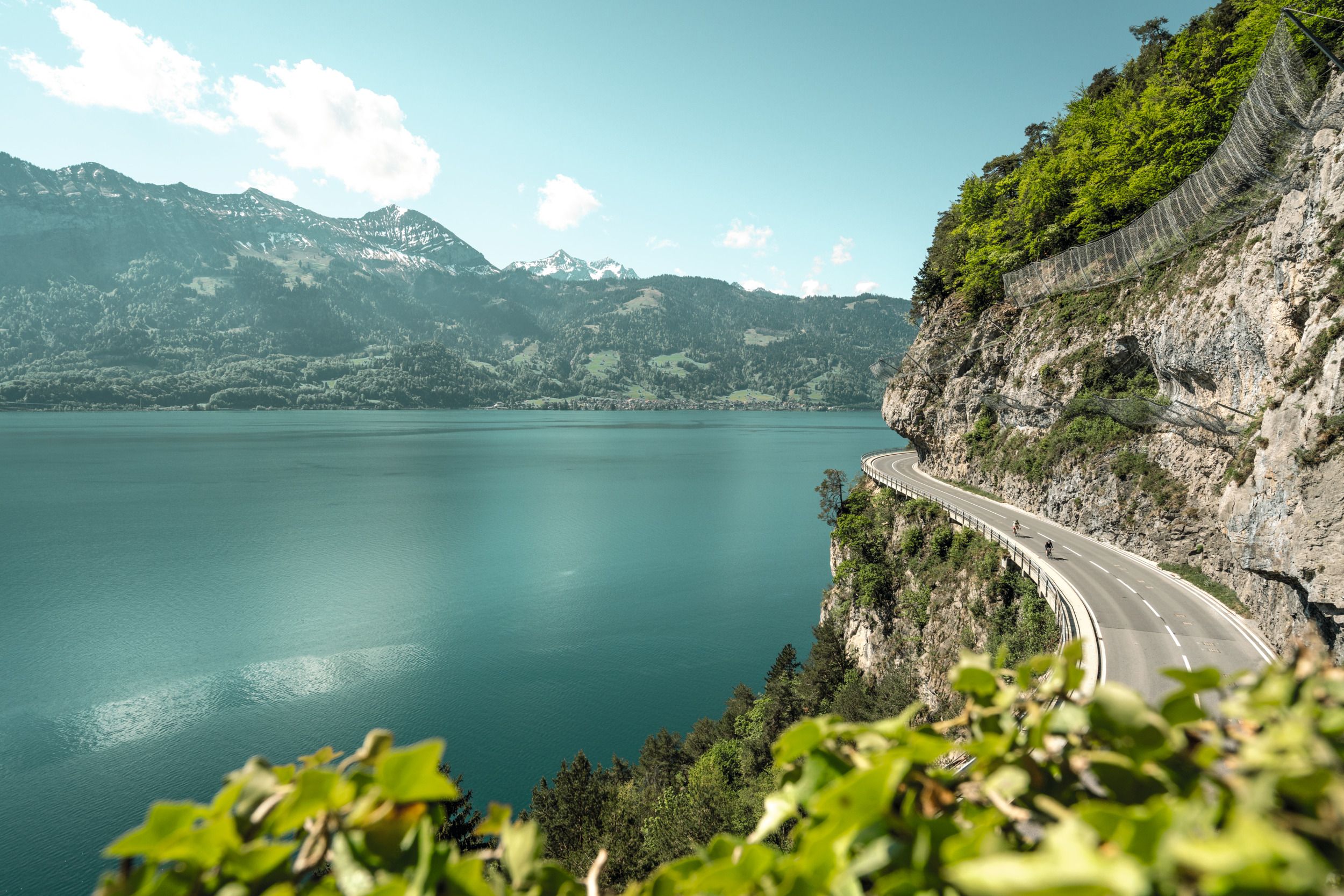 Lac de Thoune près d'Interlaken : vue pittoresque sur le lac, les montagnes et la nature en été.
