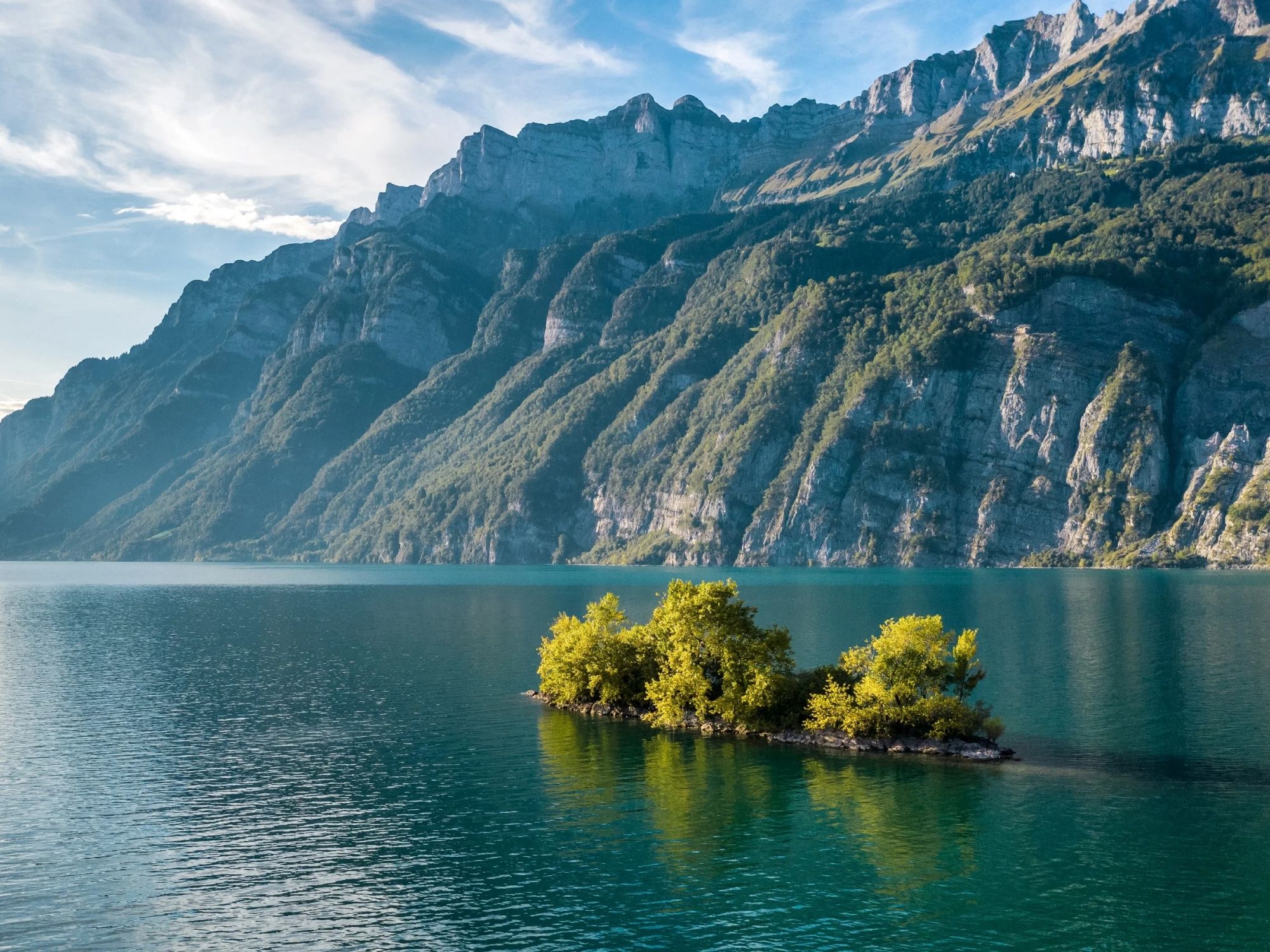 Walensee with mountain view and lakeside vegetation in summer