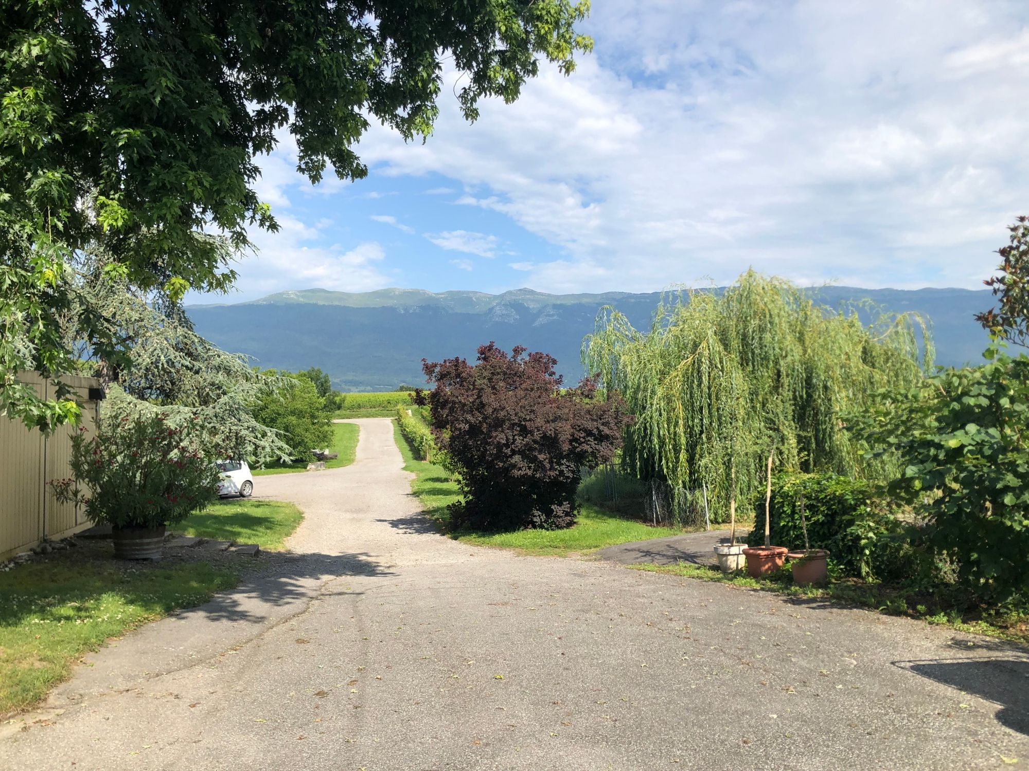 E-Bike Tour: Ontspan tijdens een wijnproeverij-tour door het schilderachtige landschap in de zomer.