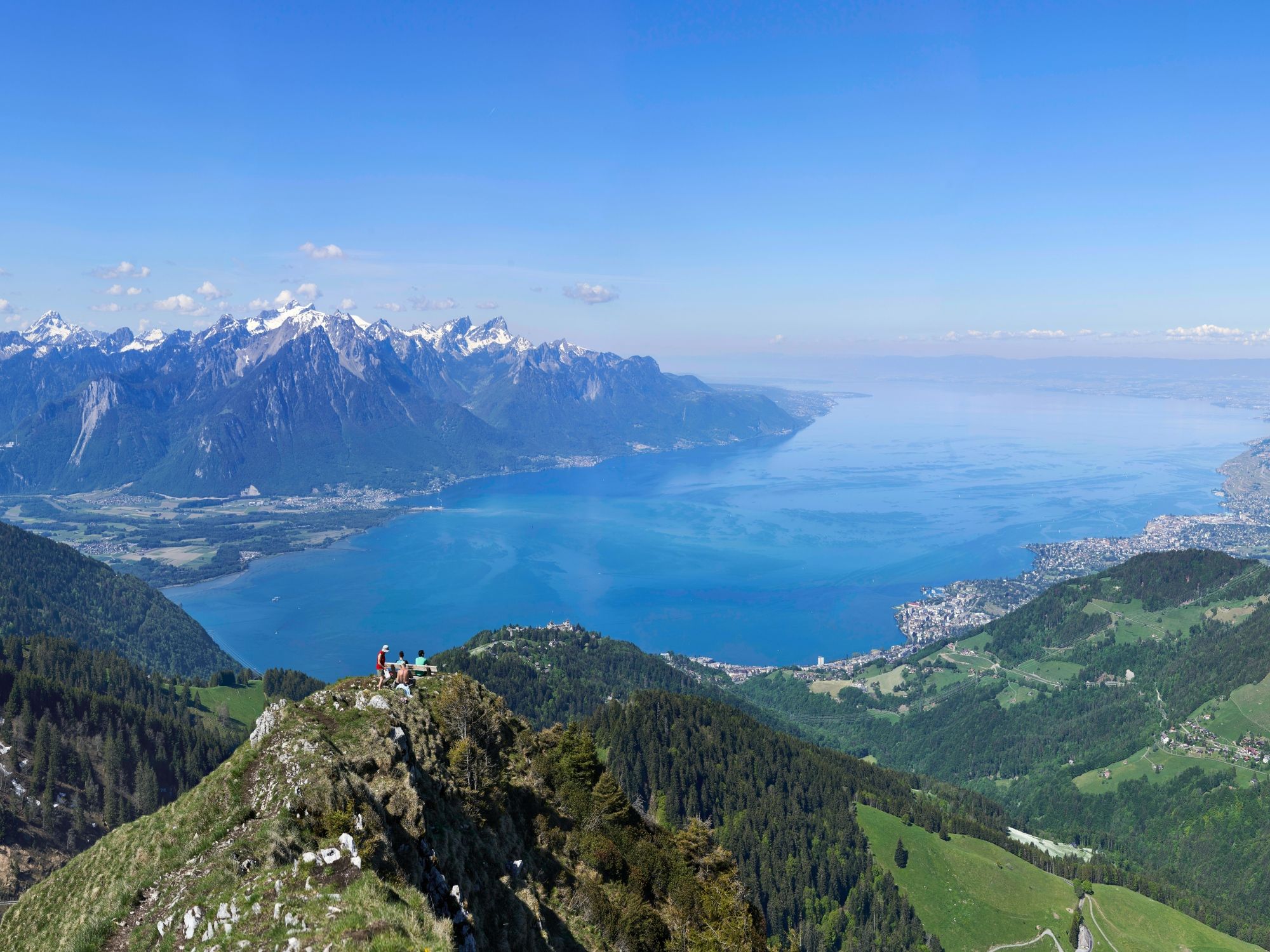Rochers de Naye: Panoramic view of Lake Geneva and the Alps with green meadows.