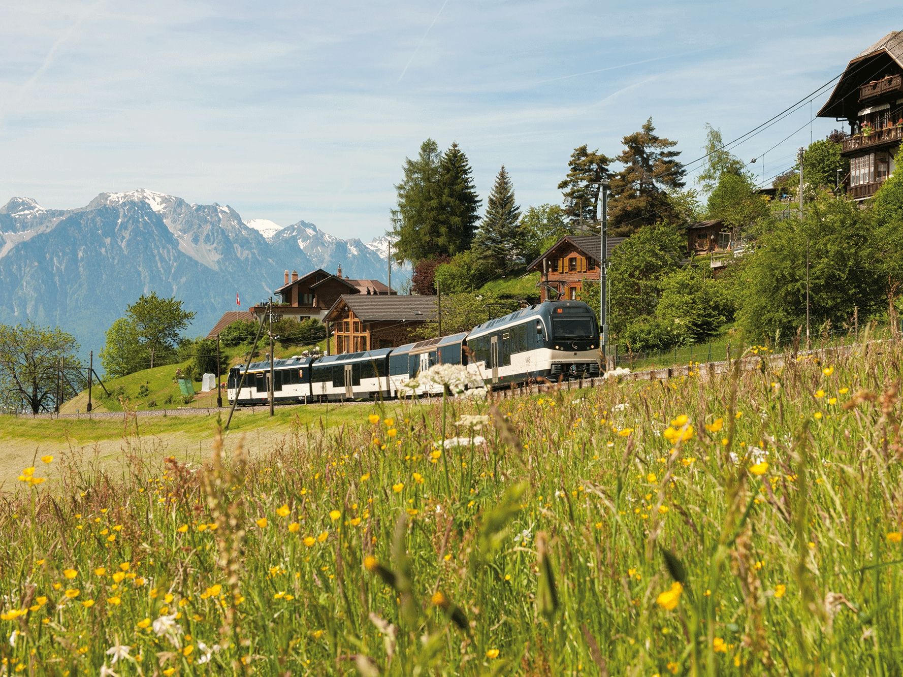 Golden Pass Voyage à travers les magnifiques Alpes avec des prairies fleuries et un panorama montagneux.