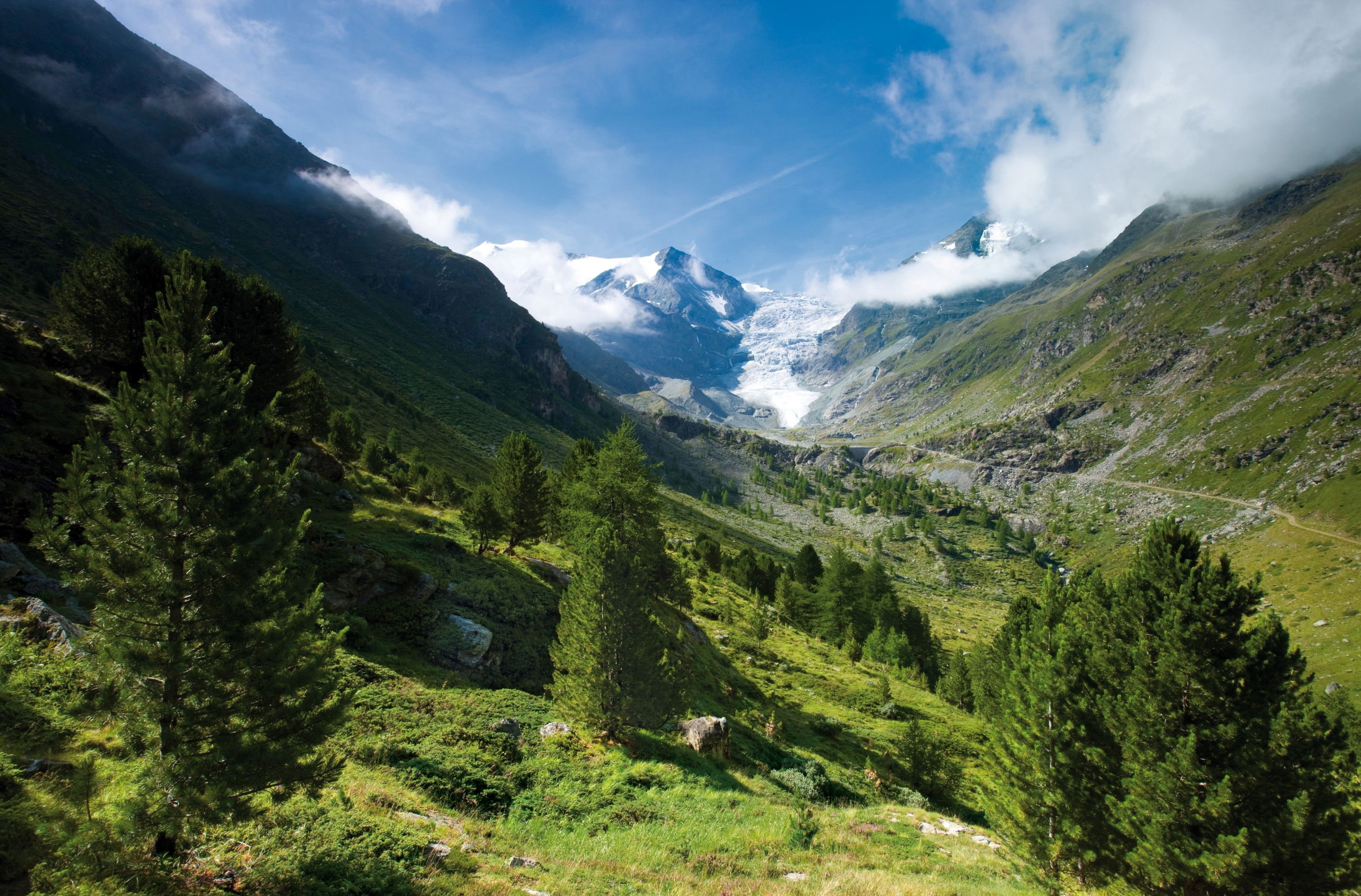 배경에 산과 빙하가 있는 피프너-핑게스 자연공원.