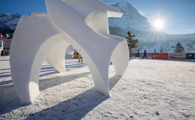Oiseaux du World Snow Festival (photo : Jungfrau Region)