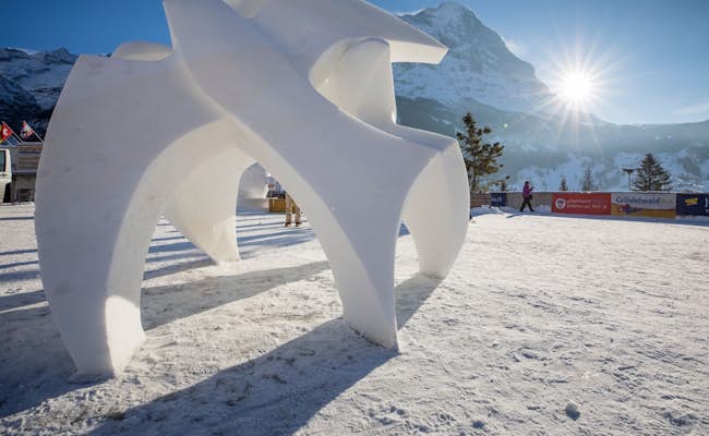 World Snow Festival Vögel (Foto: Jungfrau Region)