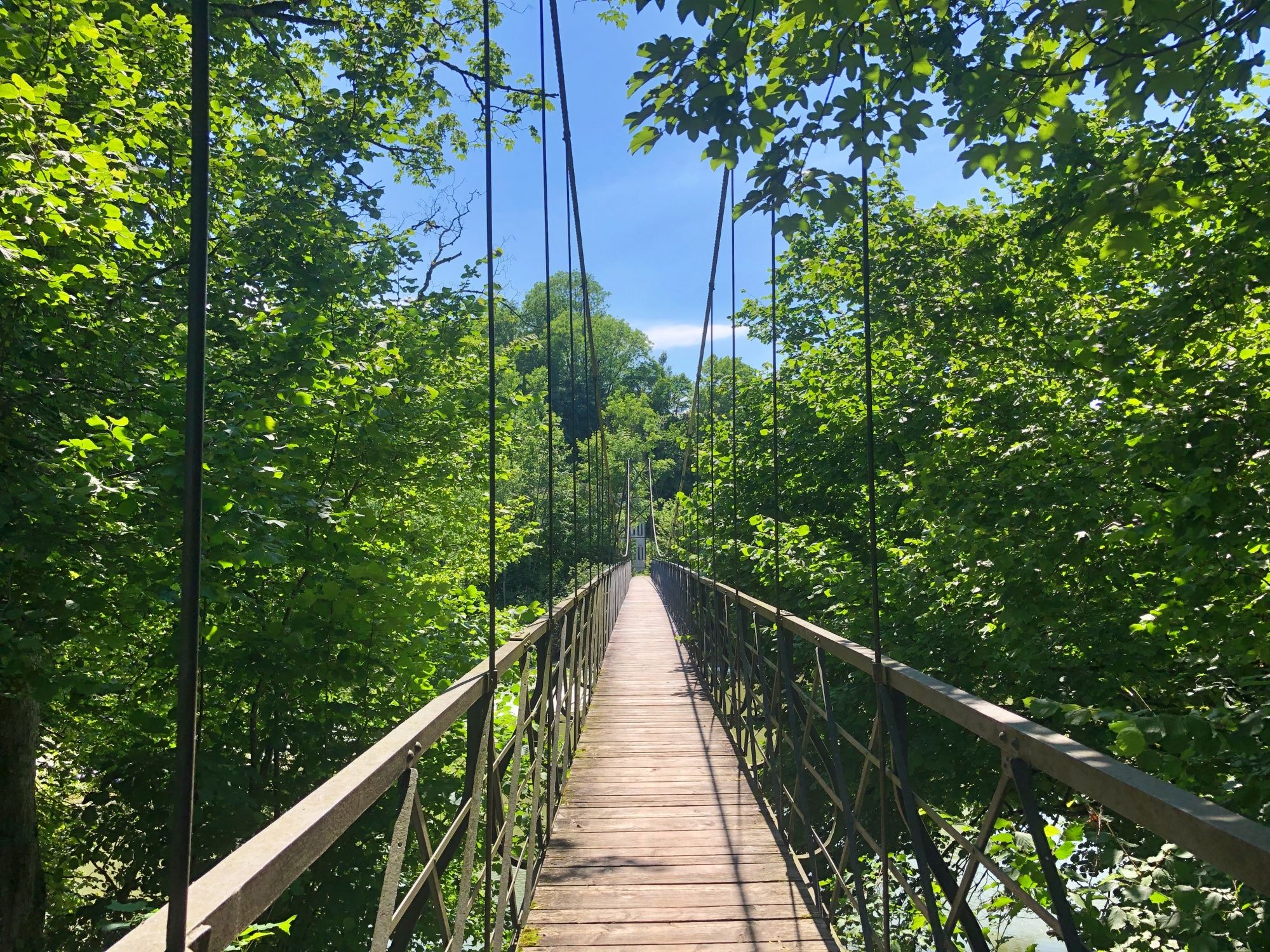 St. Galler Bridge Road s dřevěným mostem obklopeným zeleným listím