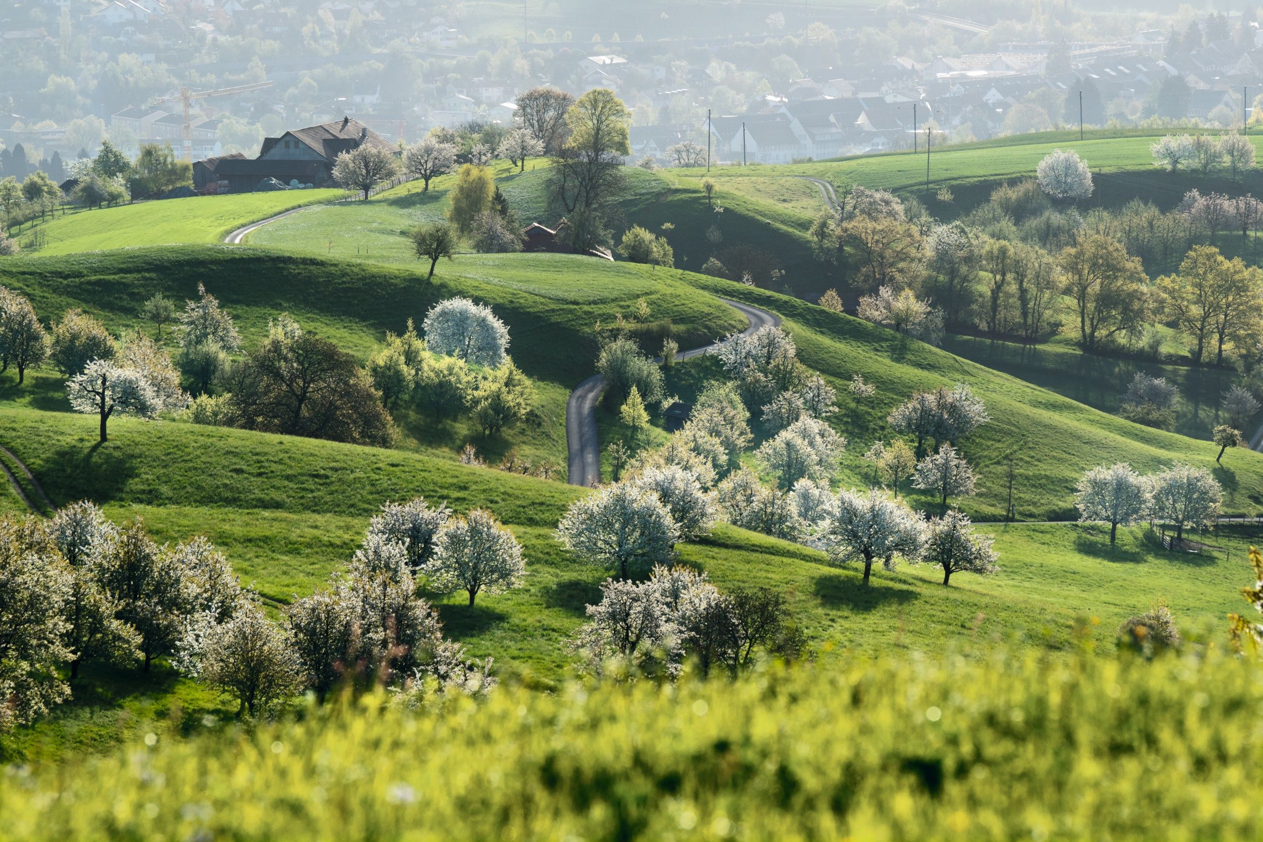 Chriesiweg v Juraparku Aargau s kvetoucími ovocnými stromy v krajině